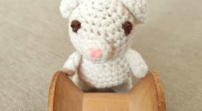 niedźwiedź polarny