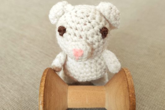 niedźwiedź polarny